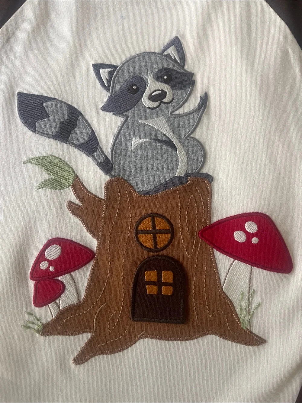 Gymboree adorable raccoon